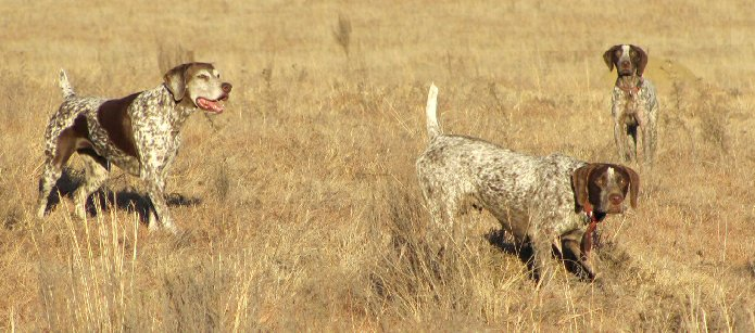 image_2025-05-14_103106050