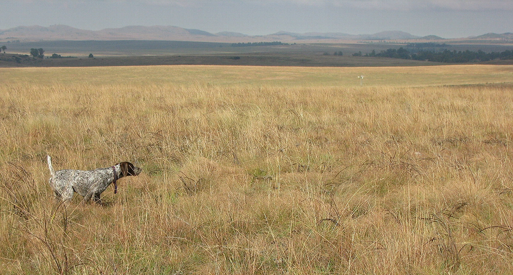 image_2025-05-14_104345724