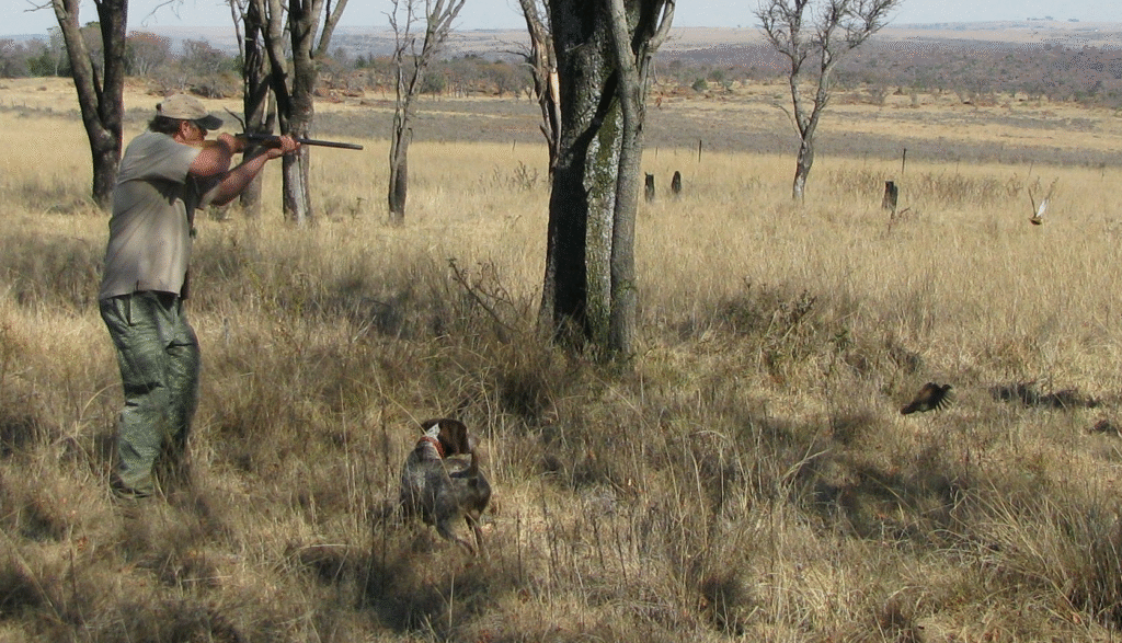 image_2025-05-14_104611072