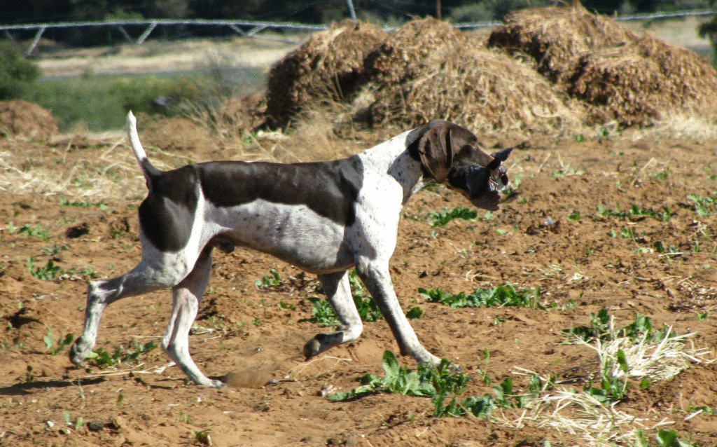 image_2025-05-14_104749712