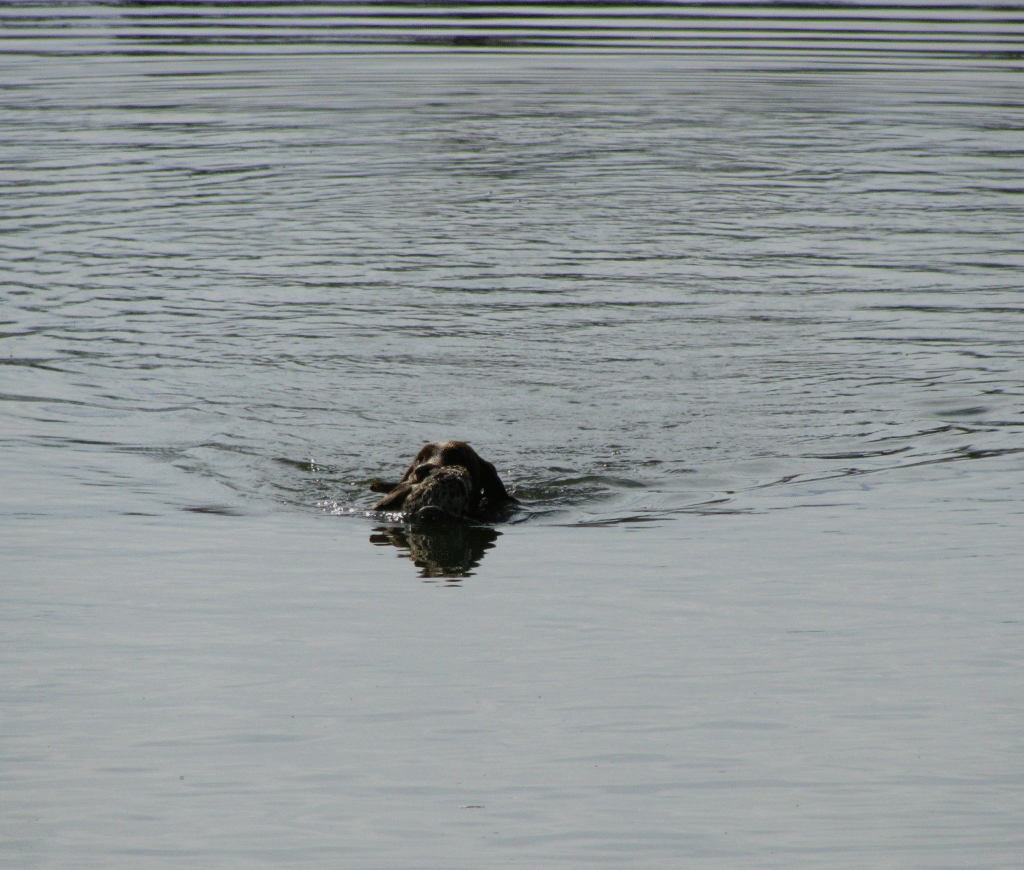 image_2025-05-14_104901466