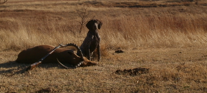 image_2025-05-14_105049836