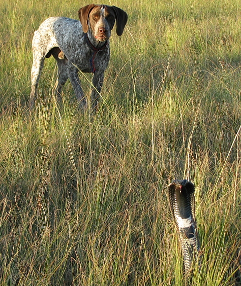 image_2025-06-10_130502184