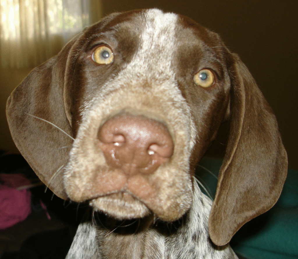 image_2025-06-10_130900739