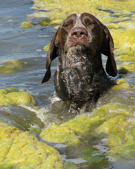 image_2025-06-10_132614011