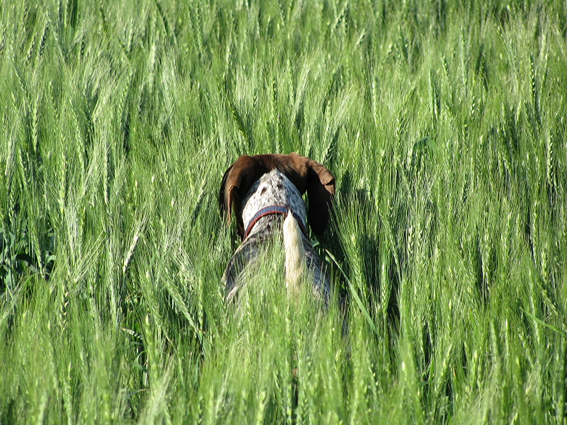 image_2025-06-10_132722223