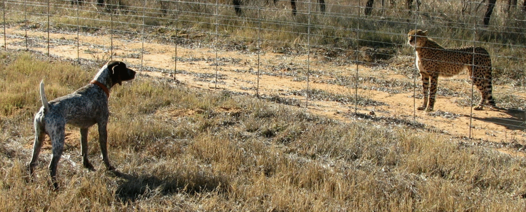 image_2025-06-10_132854938